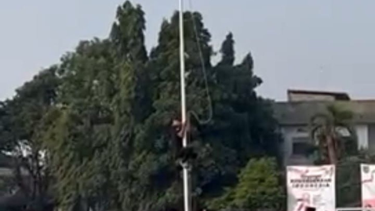 Aksi Heroik Pegawai Sound Panjat Tiang Perbaiki Pengait Bendera, Peserta Upacara Riuh Tepuk Tangan