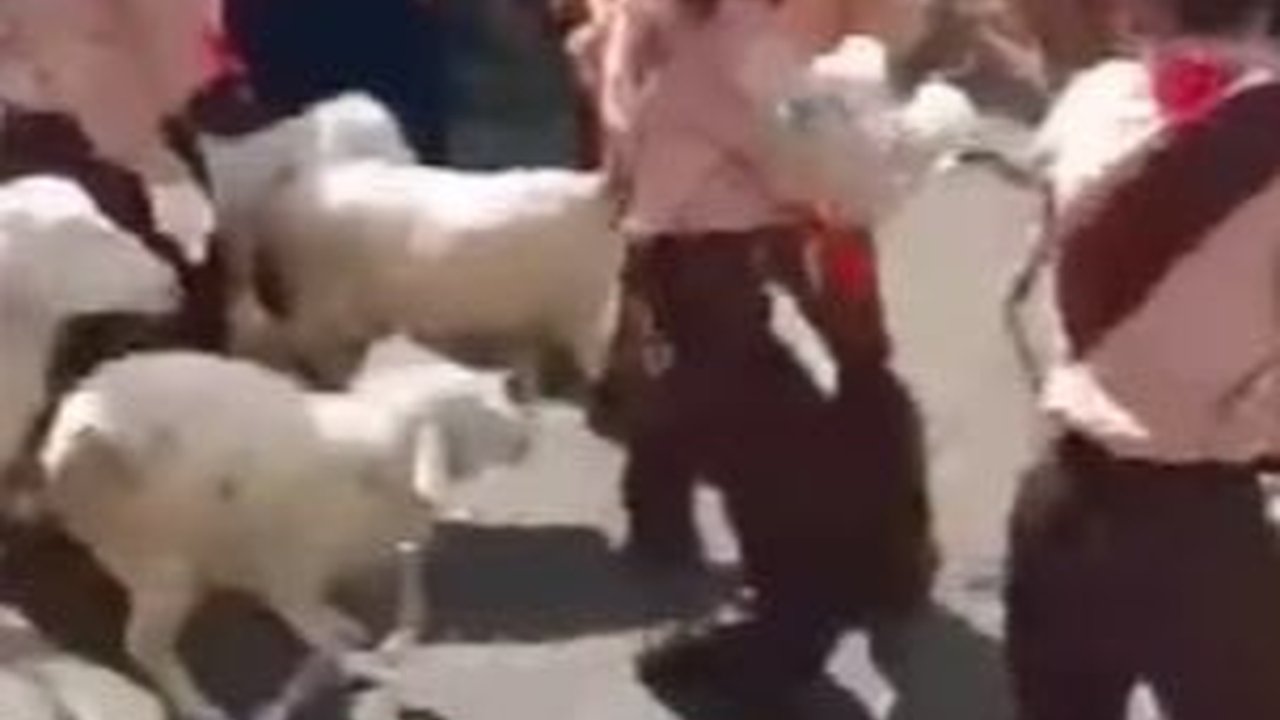 Bikin Geleng-Geleng, Aksi Pembubaran Paksa Regu Baris Berbaris Siswa SD Ini Disorot Warganet, 'Minggir Lu Semua'