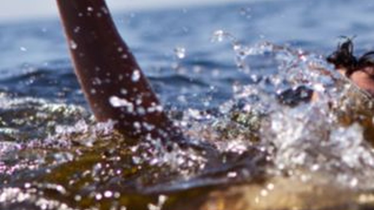 Main Bola di Pantai Bosowa Makassar saat Momen 17 Agustus, 5 Siswa SD Terseret Ombak