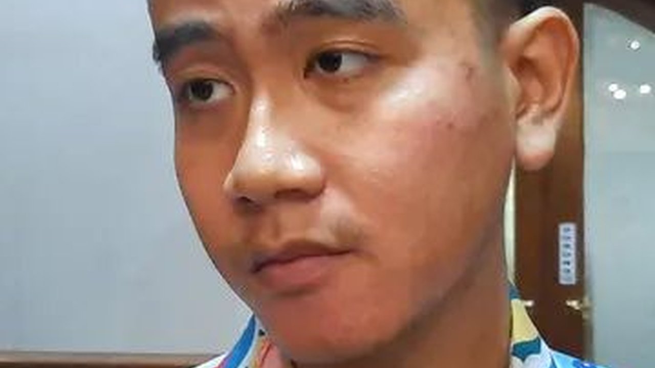 Batas Usia Pilpres Digugat, PKS Khawatir Ada Gerakan Tolak Pilih Gibran Jika Maju