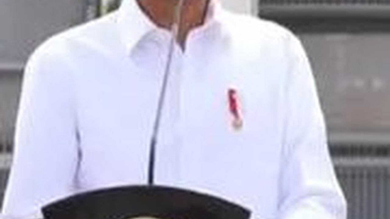 Soal Rocky Gerung, PAN: Pak Jokowi Sudah Kebal Anggap Saja Hiburan