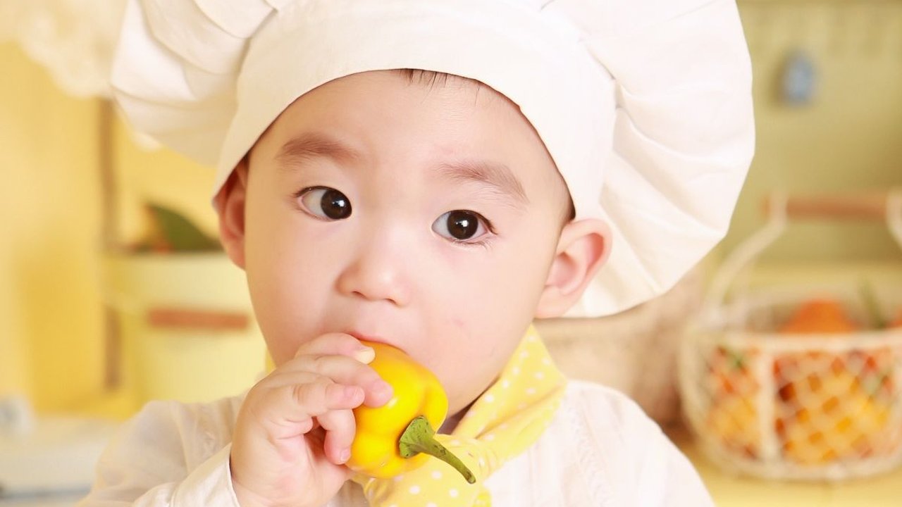 6 Menu Sehat untuk Si Kecil, Ini Resepnya yang Mudah Dipraktikkan