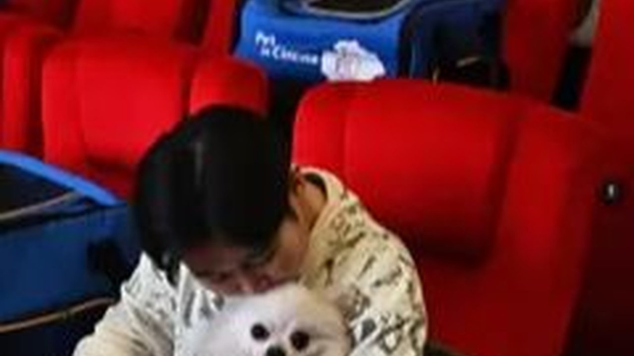 Pakai Dana IPO, Cinema XXI Bakal Tambah Layar Bioskop 10 Persen Tiap Tahun
