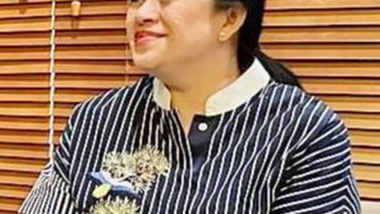 Puan Bertemu Luhut, Bahas Politik dan Ekonomi