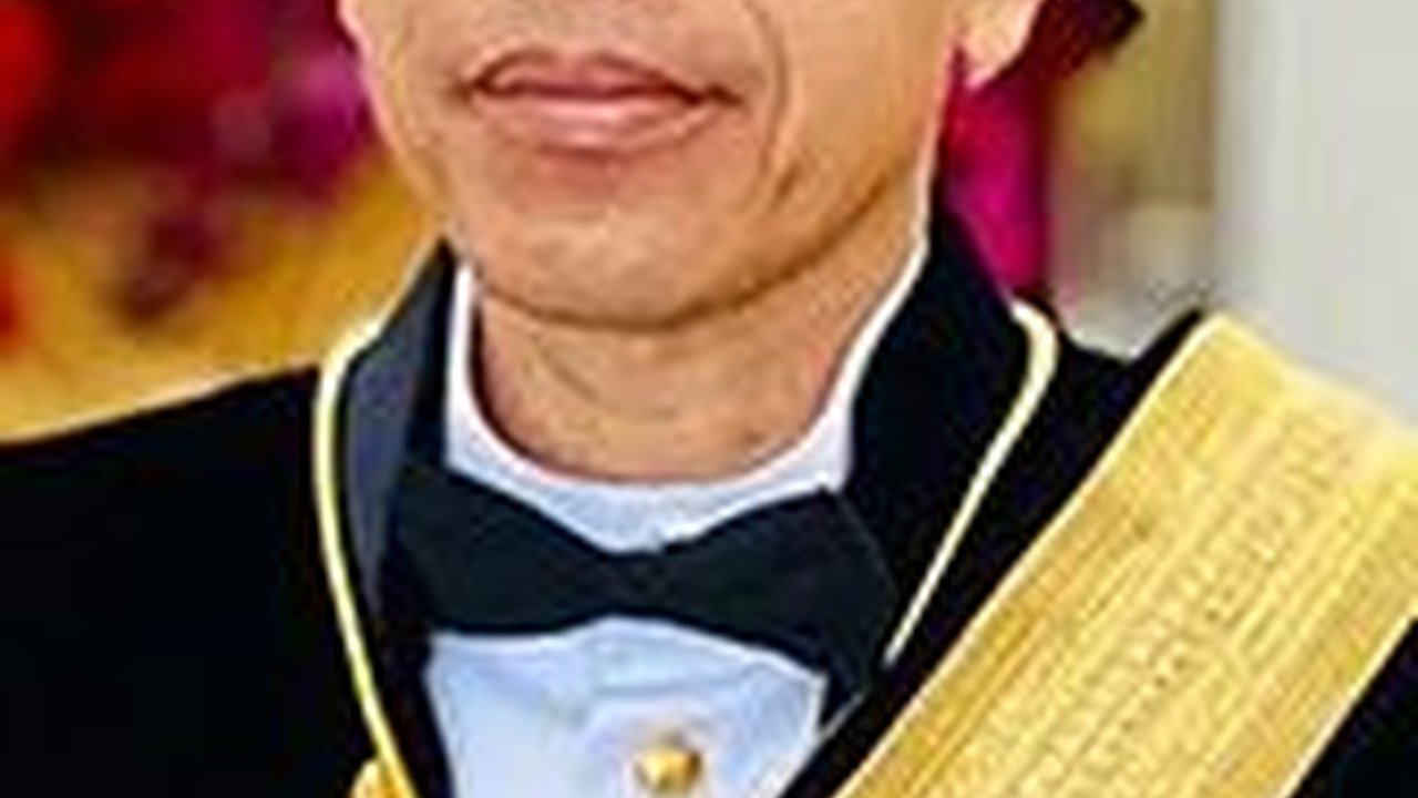 Kunjungi Afrika untuk Pertama Kali, Jokowi Singgung Konferensi Asia Afrika Tahun 1955