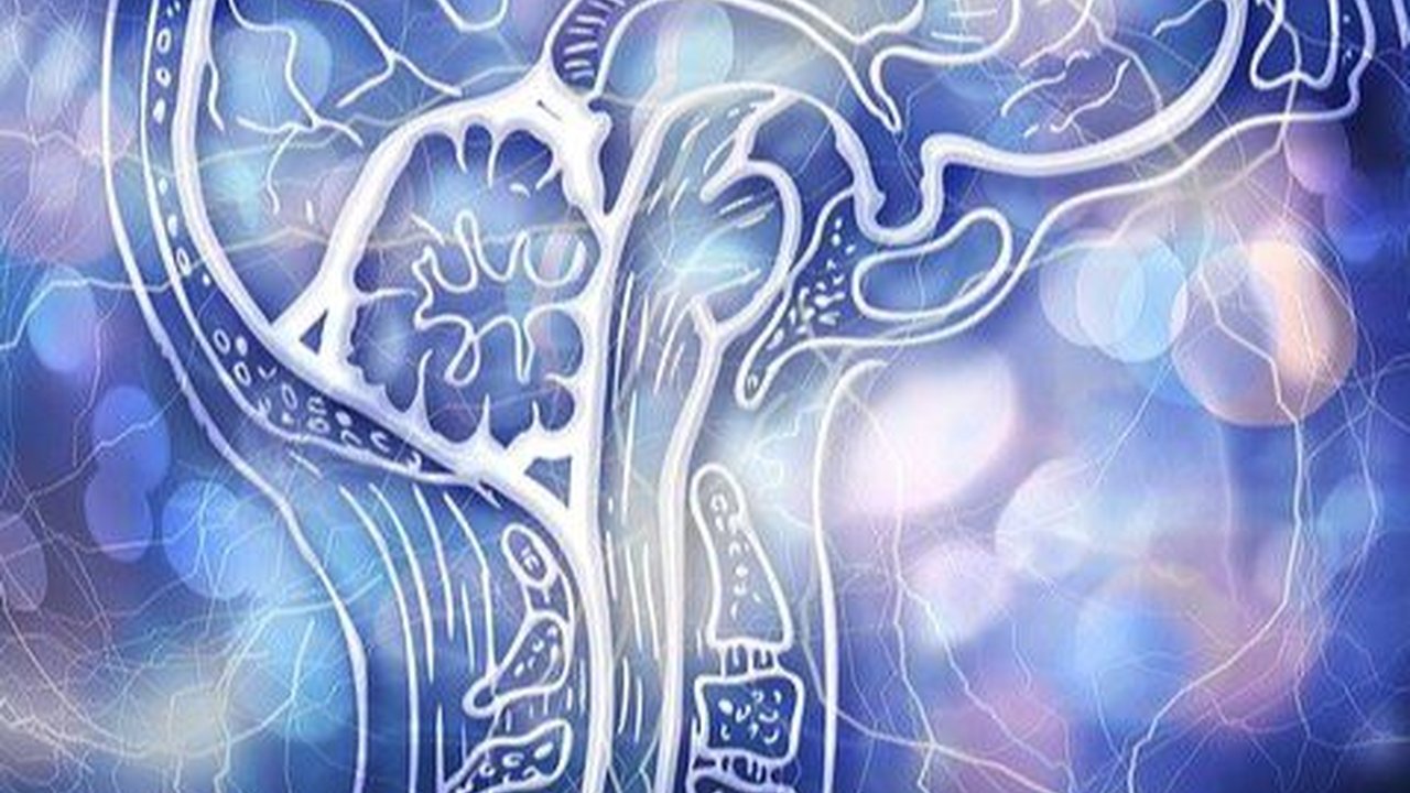 Cara Membuat Logo Gratis dengan Bantuan AI