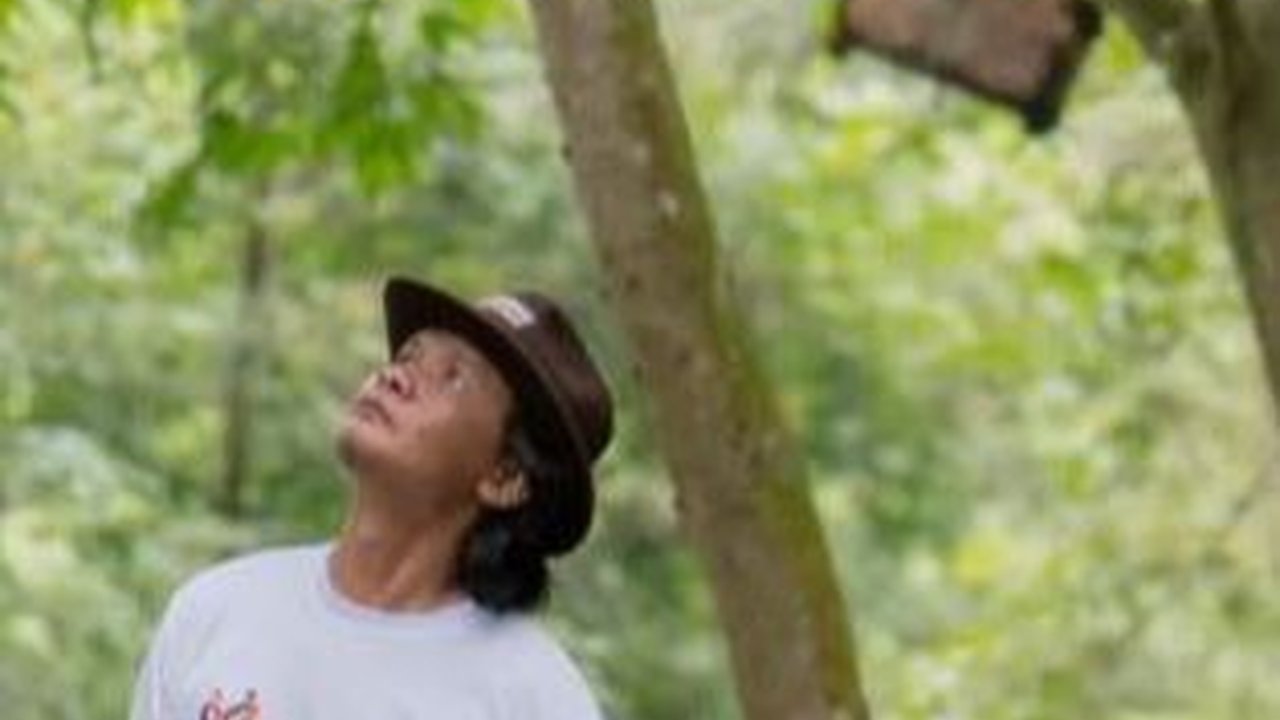 Kisah Kelompok Tani di Batang Budidaya Madu Liar, Sempat Alami Pasang Surut