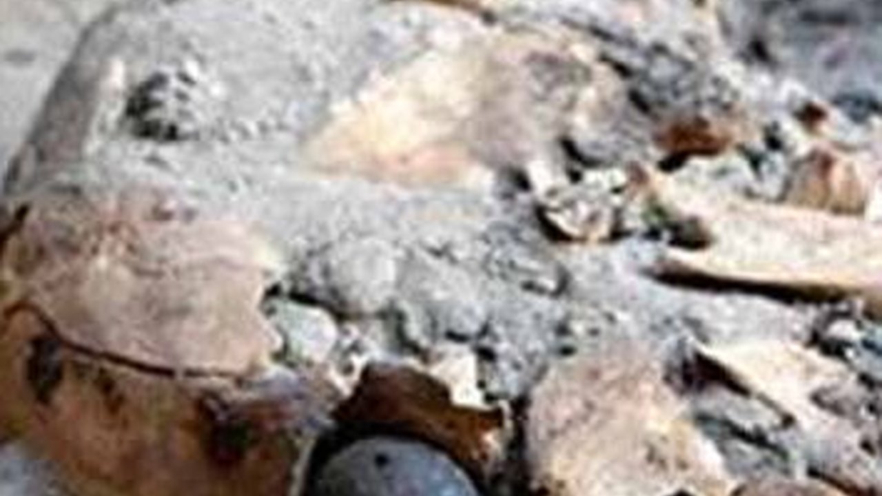 Orang Sudah Pakai Mata Palsu Sejak 4.800 Tahun Lalu, Begini Bentuknya