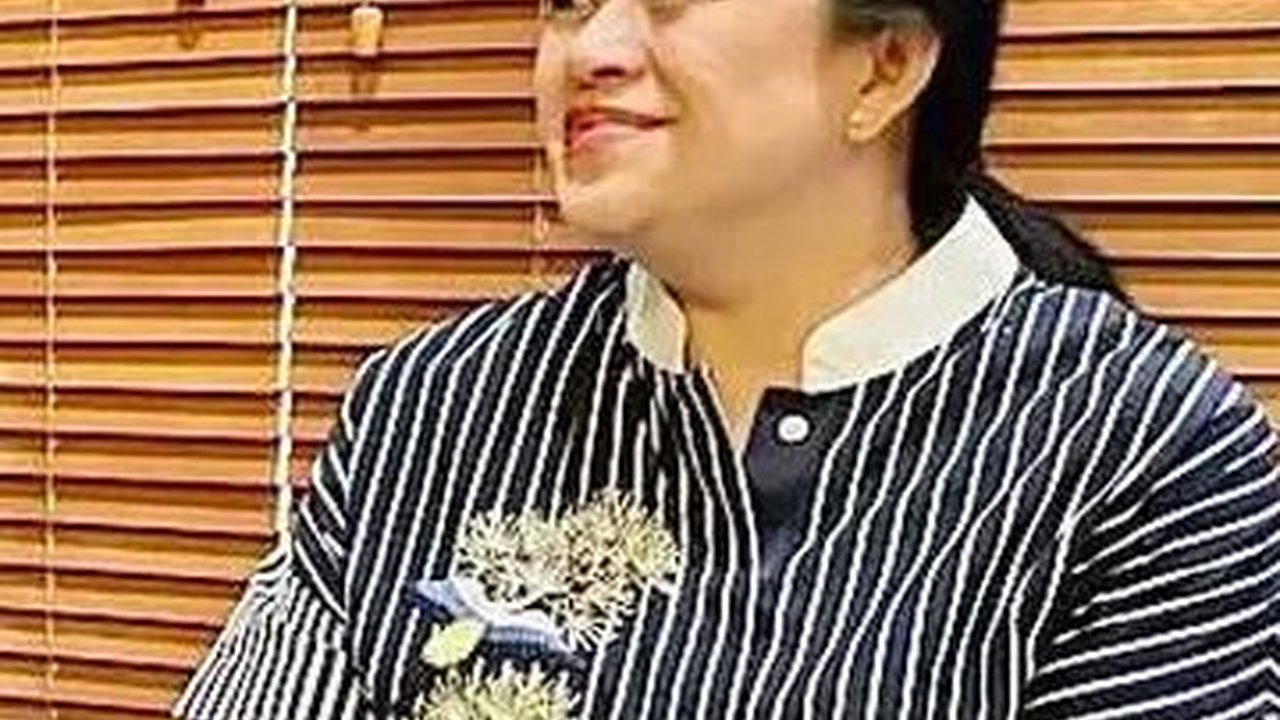 PDIP Ungkap Isi Pertemuan Puan dan Luhut