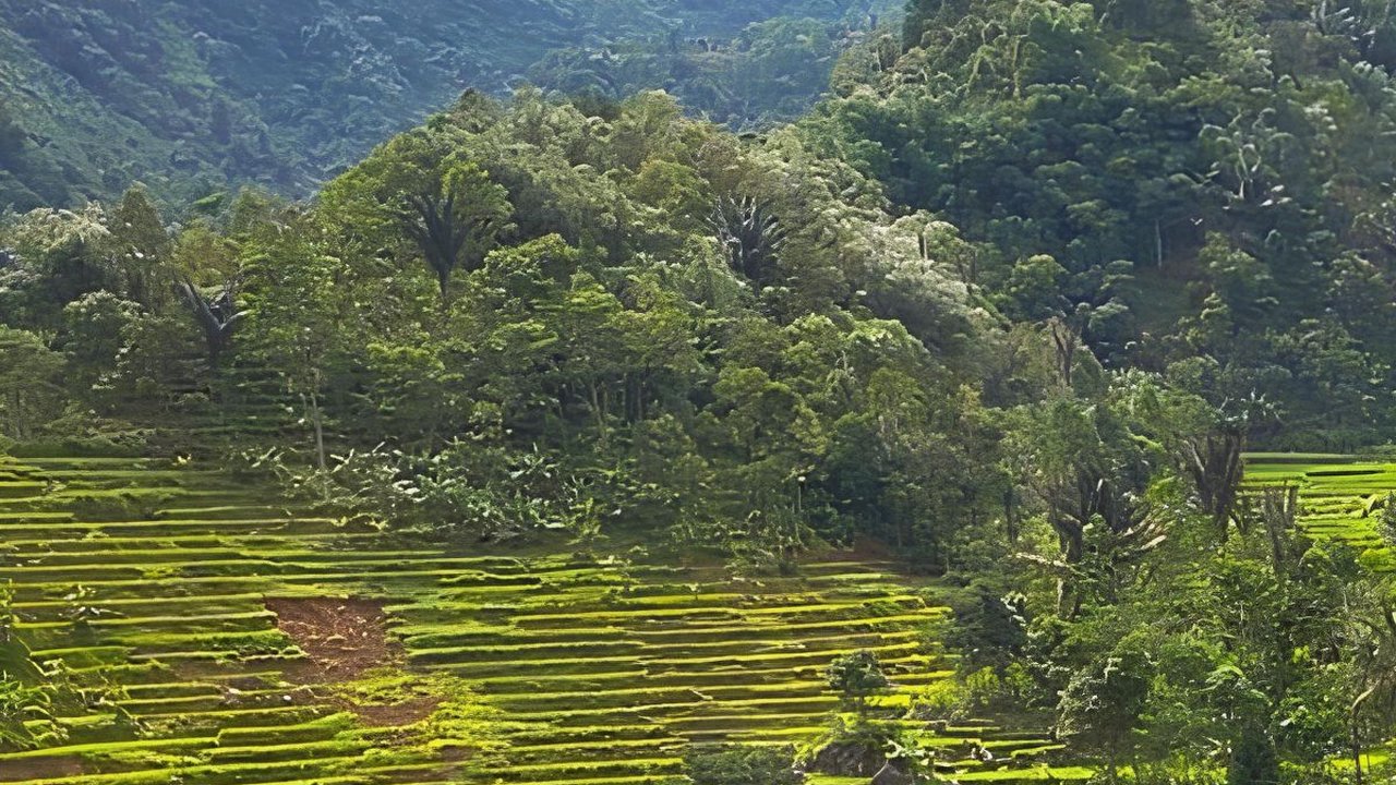 Intip Daya Tarik Desa Purwabakti di Bogor, Suasananya Bikin Betah