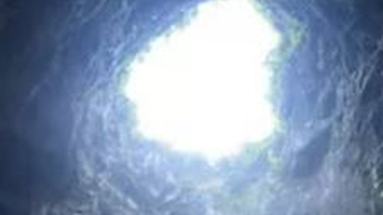 Hutan Kuno Sangat Luas Tersembunyi dalam Lubang Sedalam Hampir 200 Meter,  Ditemukan Banyak Tumbuhan Langka