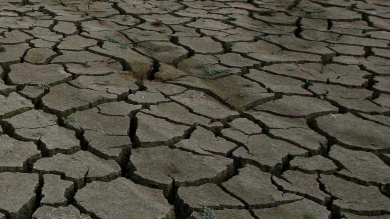 Kekeringan Dampak El Nino Terjadi, 3.618,5 Hektare Sawah di Bekasi Terancam Gagal Tanam
