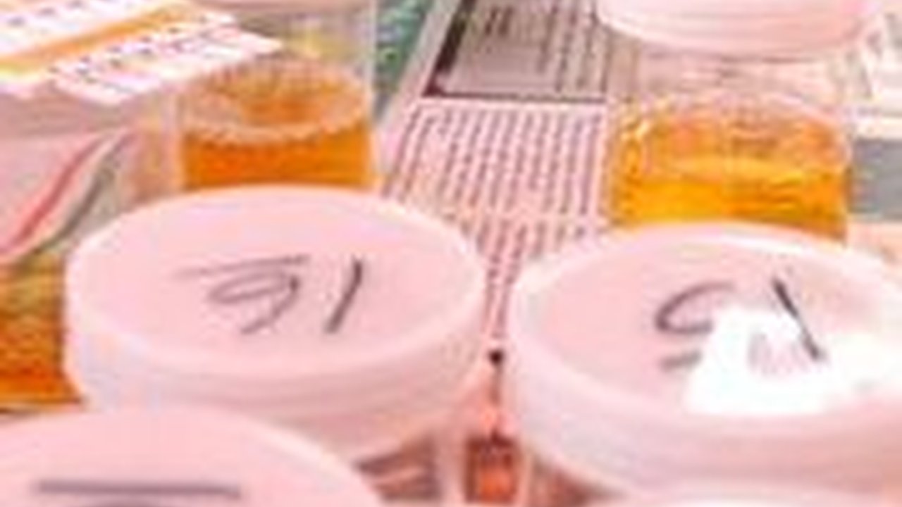 Dites Urine Dadakan, 2 Pegawai Dinas PMD Musi Banyuasin Kedapatan Positif Narkoba