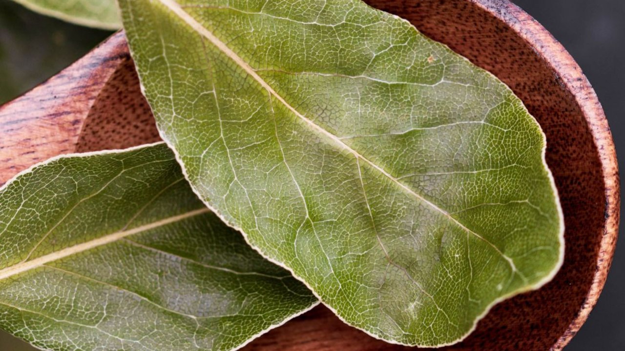 7 Daun untuk Turunkan Gula Darah, Cara Herbal Kelola Diabetes