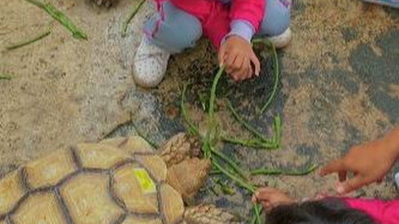 Mengunjungi Jogja Exotarium, Kebun Binatang Mini dengan Berbagai Wahana Menarik