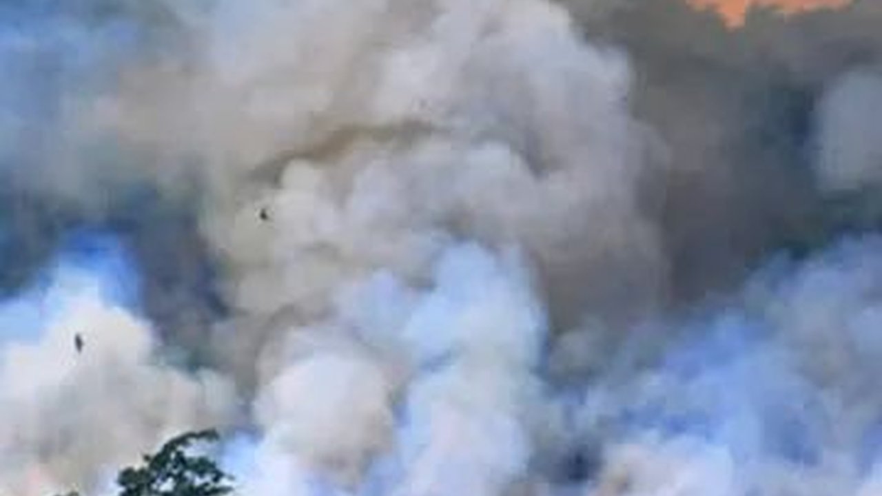 Karhutla Sumsel Meluas, Api Bermunculan di Wilayah Tiga Kabupaten