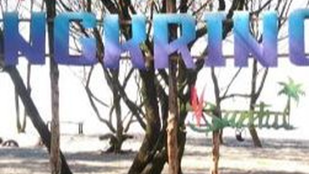 Menikmati Keindahan Pantai Cangkring, Wisata Murah Meriah di Pesisir Jogja