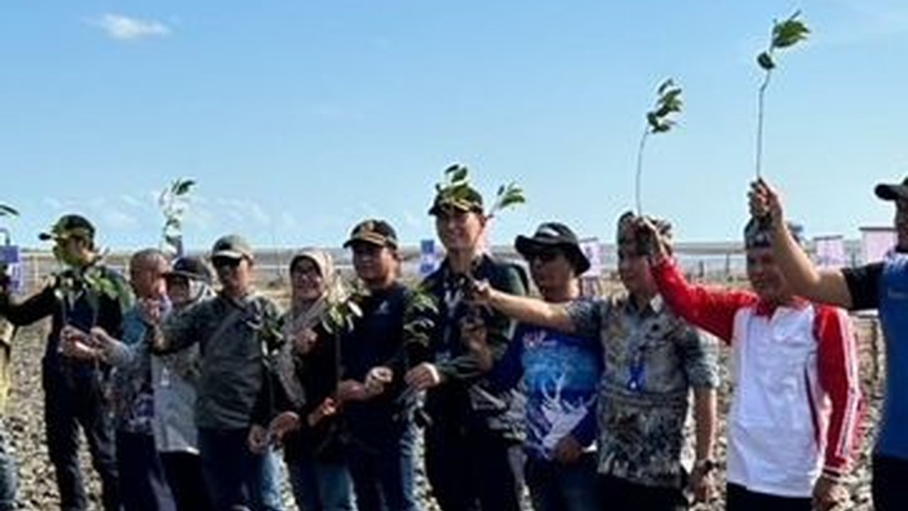 PNM Tanam 22 Ribu Mangrove untuk Tekan  Polusi