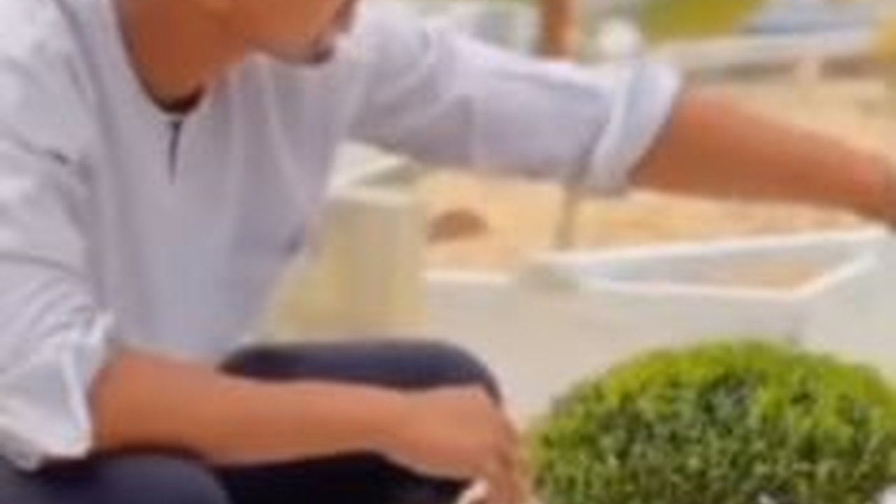 Bukti Cinta Sejati, Pria Tanami Makam Istrinya Pohon Kecil & Sirami Air, Netizen 'Sudah Meninggal Saja Sayangnya Kayak Gini'
