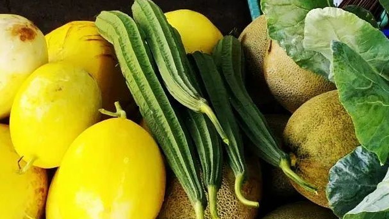 Warga Surabaya Gotong-royong Tanam Sayur dan Buah, Hasil Panen Dipakai Bangun Kampung