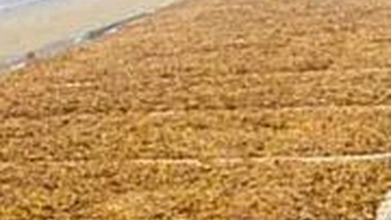 PAN Konsisten Perjuangkan Aspirasi Petani Tembakau Madura