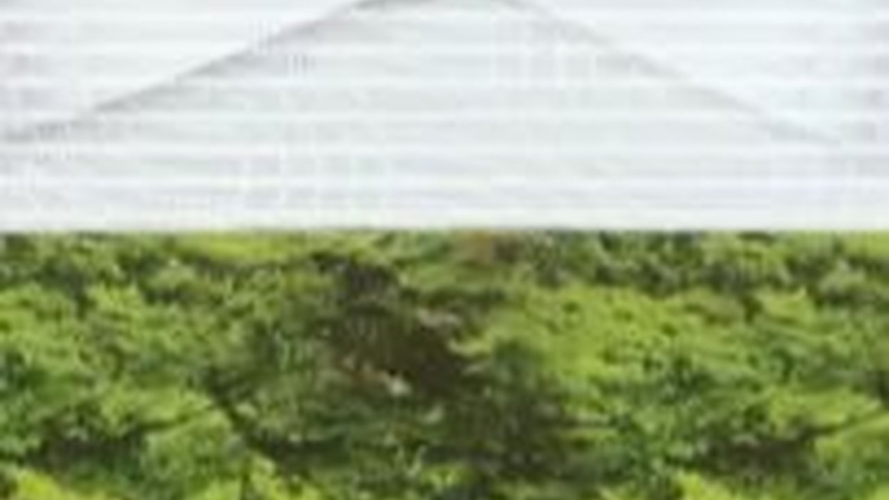 VIDEO: Wanita Tegas Naik Panggung Acara PDIP Turunkan Wajah Bintang Dua dan Mas Pacul!