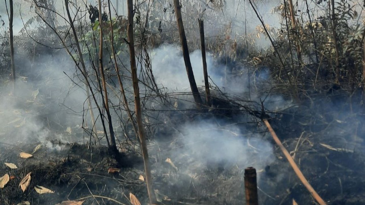 Miris, Asap Kebakaran Lahan di Kampar Riau Kepung Gedung Sekolahan