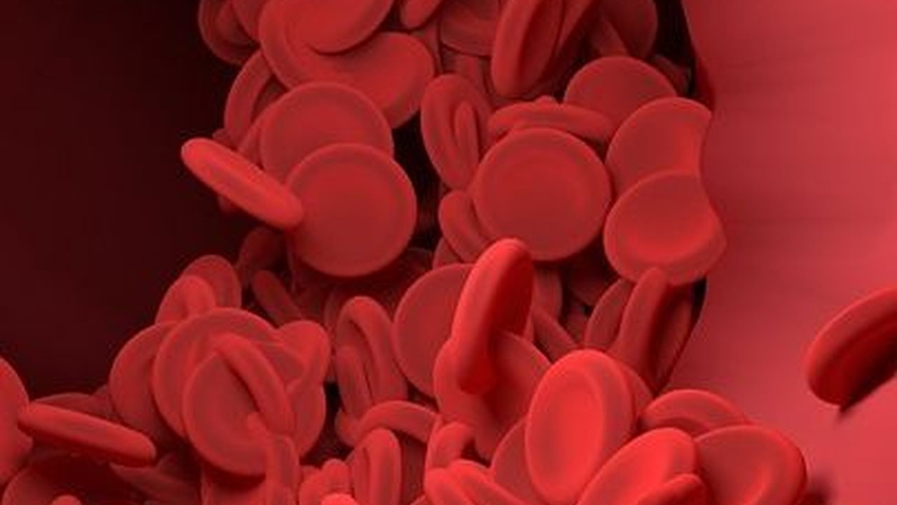 Trombosit adalah Komponen Darah, Ketahui Fungsi dan Risiko Penyakitnya
