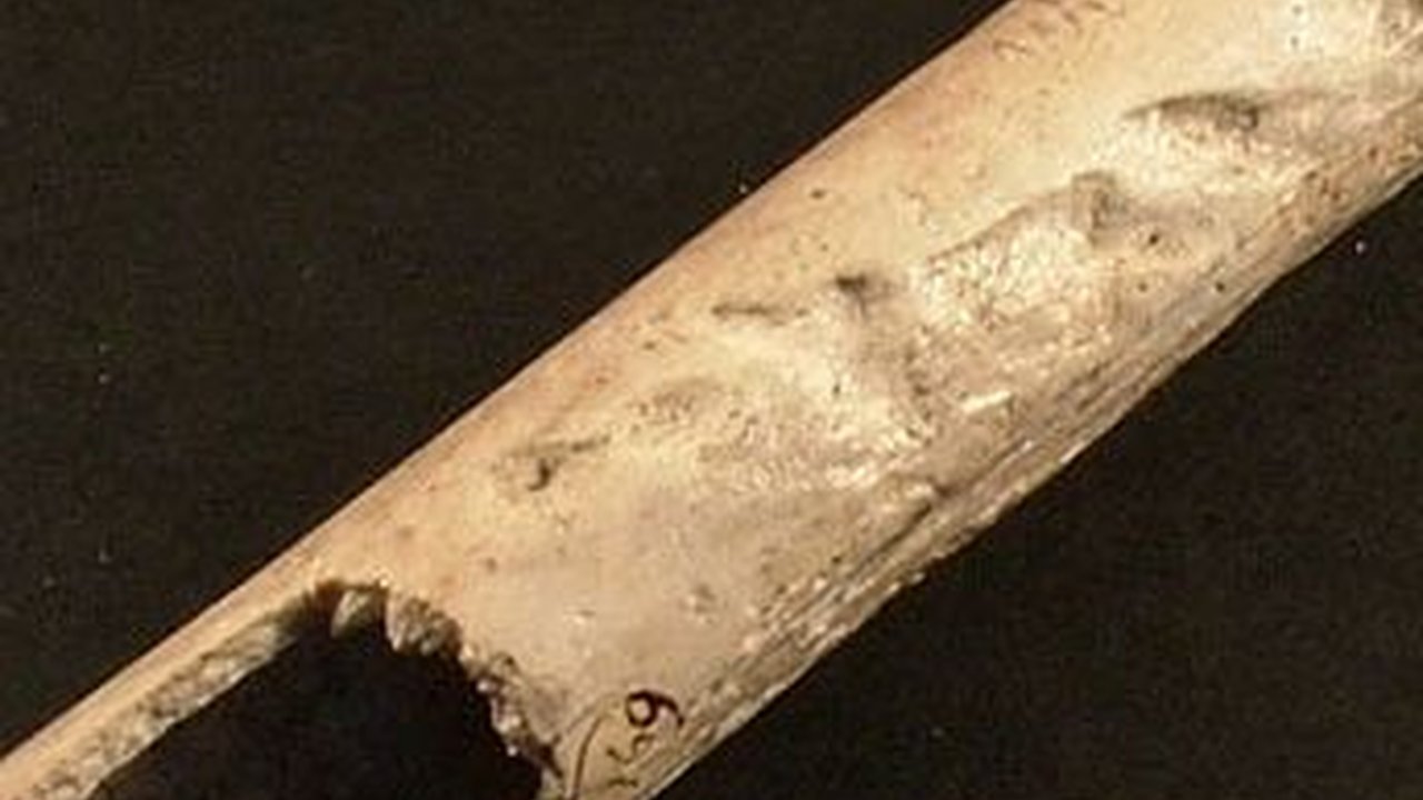 Alat Musik Berusia 4.500 Tahun Ditemukan Terbuat dari Tulang Manusia