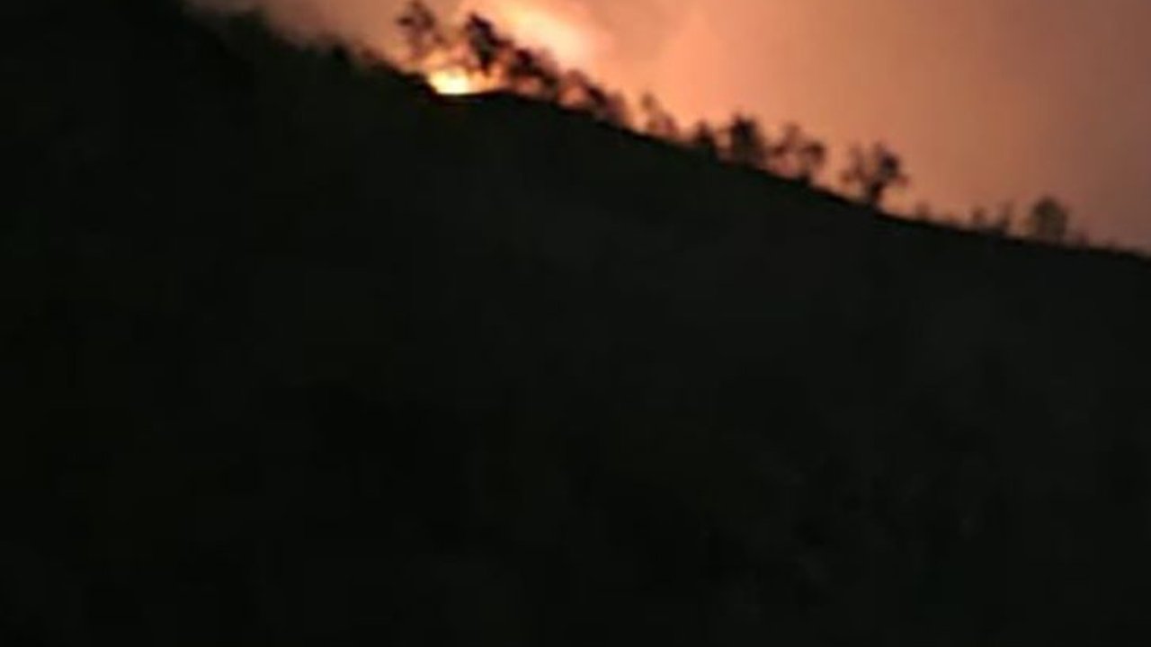 Kebakaran Hutan di Gunung Arjuno Diduga Dipicu Aktivitas Pemburu Liar, Polisi Kejar Pelaku