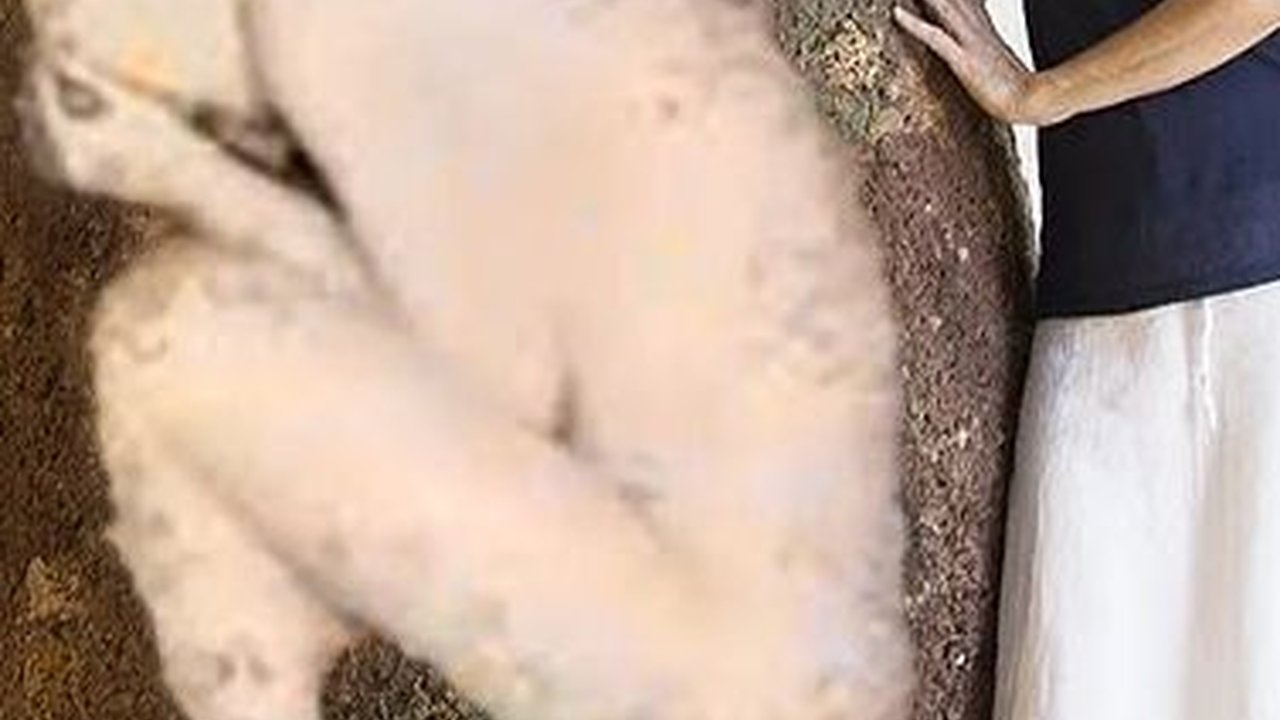 Pemakaman Ubah Mayat jadi Pohon ini Disebut Lebih Bermanfaat dari Batu Nisan, Begini Caranya yang Tak Biasa