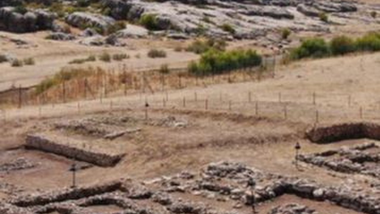 Penemuan Makam Berusia 9.500 Tahun Ungkap Sejarah Munculnya Budidaya Tanaman Paling Awal