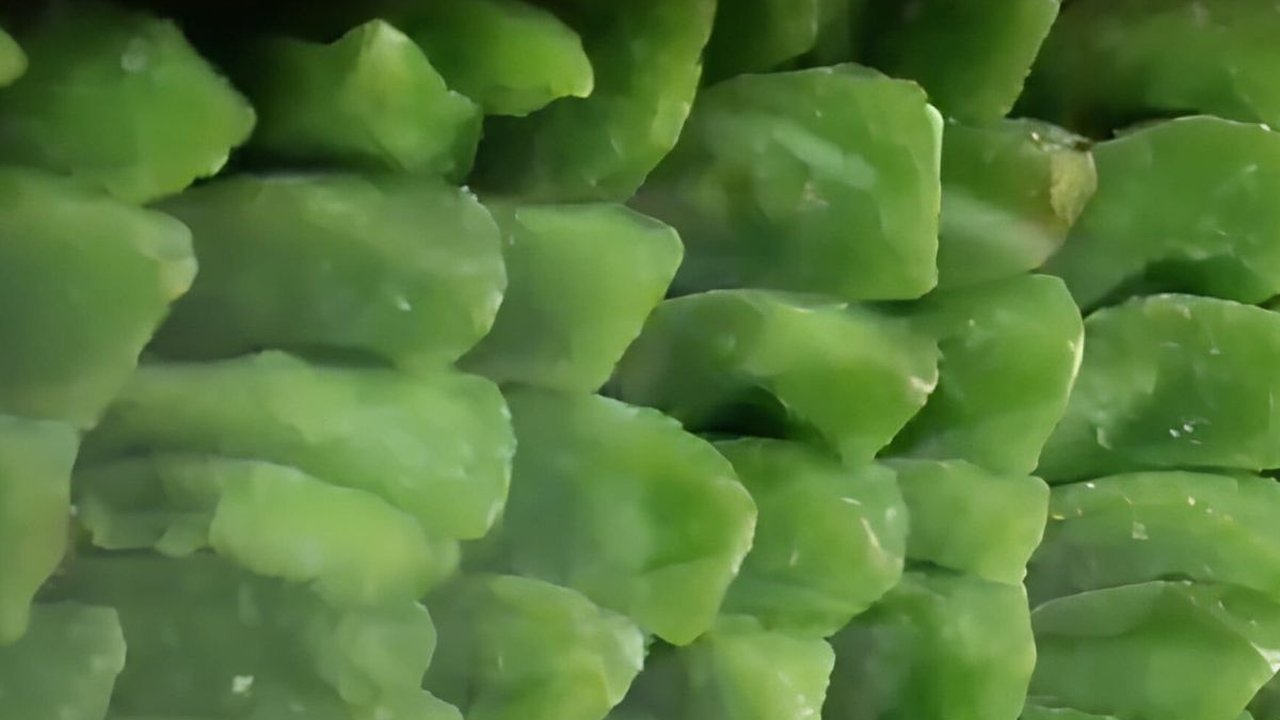 Manis Segar Kalua Jeruk, Kudapan Ringan Khas Ciwidey Berbahan Kulit Jeruk Bali