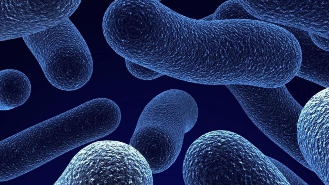 Cara Mencegah Difteri dan Gejalanya yang Wajib Diwaspadai, Bisa Timbulkan Komplikasi Serius