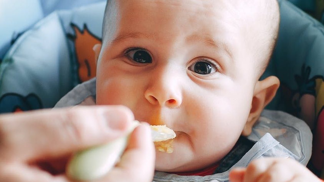 3 Resep Mpasi Usia 8-12 Bulan Mudah Untuk Anak ala Chef Willgoz, Anak Pasti Suka