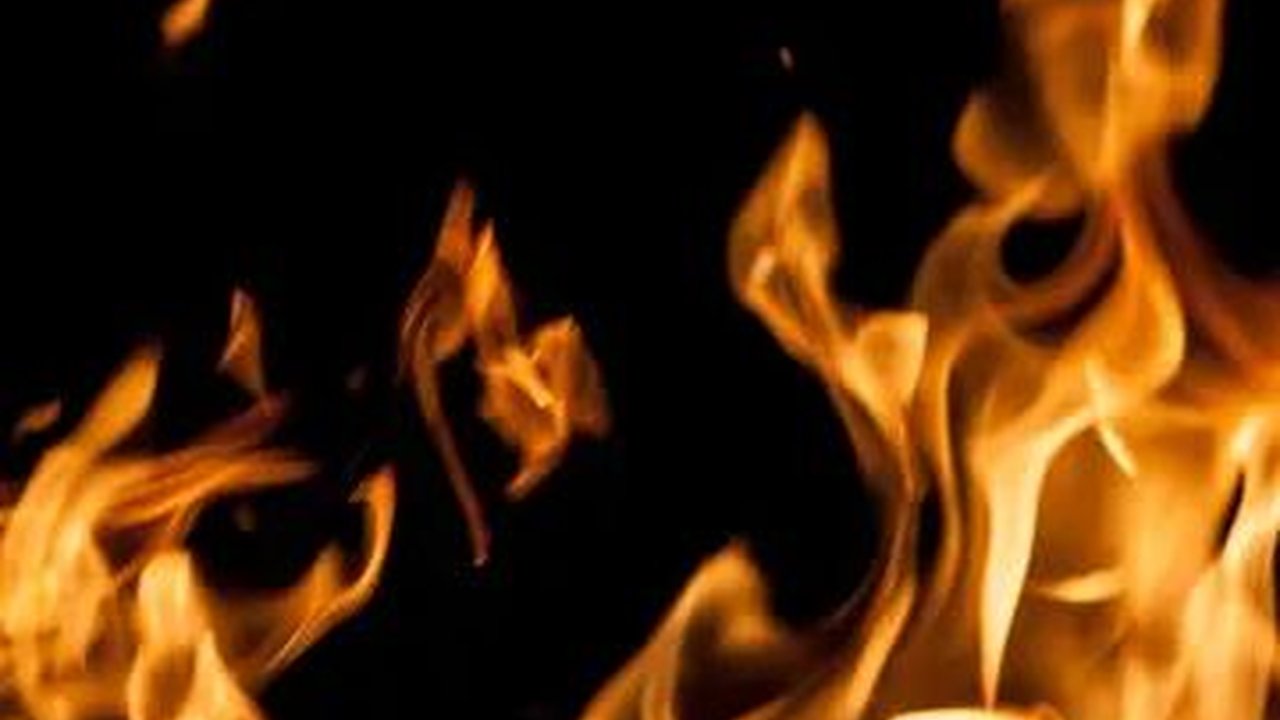 Dampak Cuaca Ekstrem Dua Hektare Hutan di Cilacap Terbakar, Berawal dari Petani Bakar Rumput