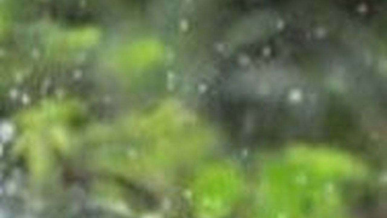 Viral Hujan Guyur Satu Rumah di Tasikmalaya, Ini Penjelasan BMKG