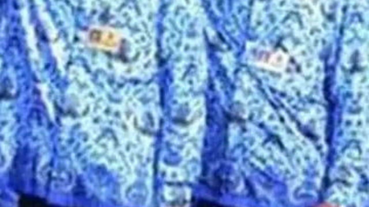Ini Fungsi dan Tugas Eselon II, Jabatan yang Bisa Diisi Pihak Swasta