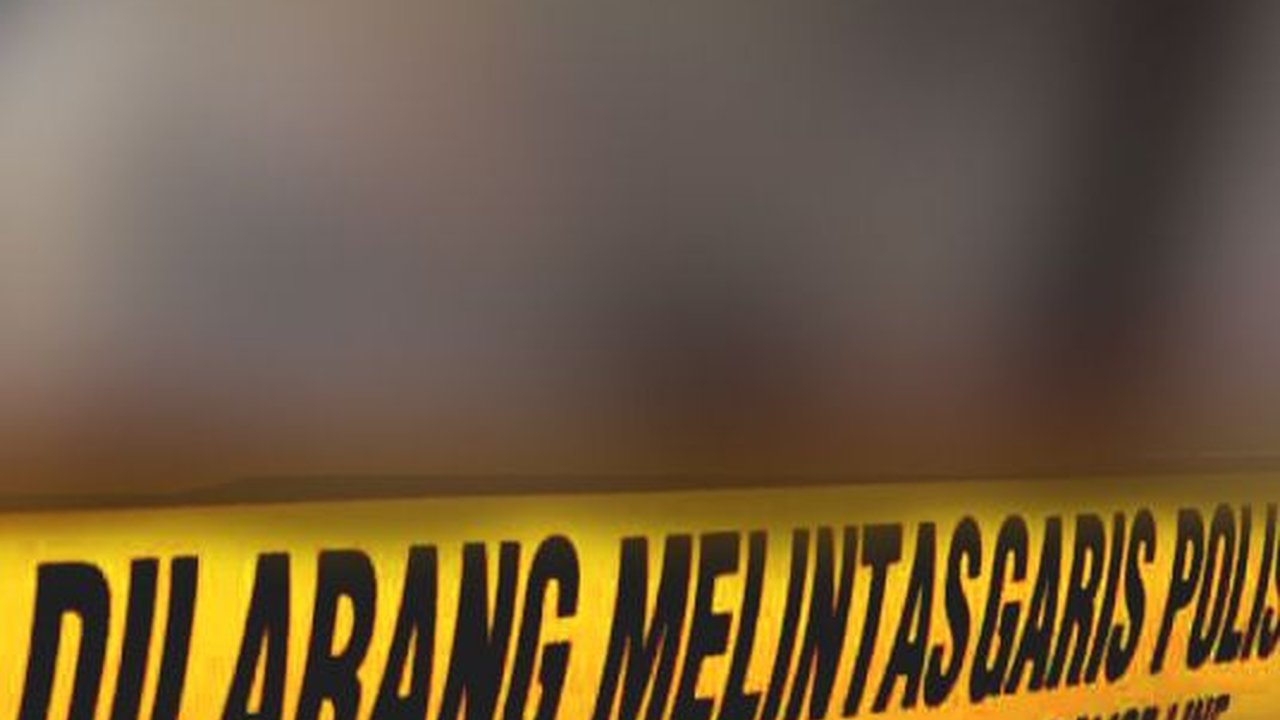 Driver Ojol di Bali Diduga Perkosa Turis Brasil, Begini Krolonoginya