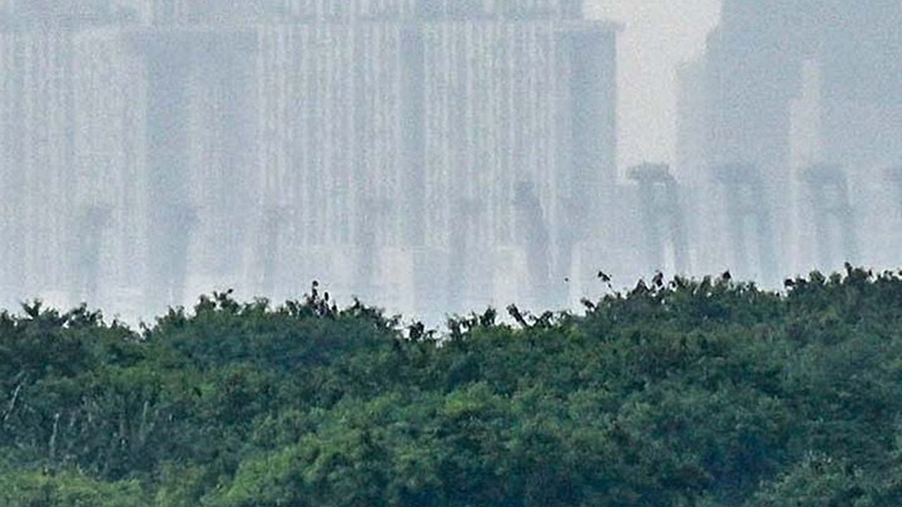 FOTO: Singapura Punya Pulau Terbuat dari Sampah di Dekat Indonesia, Begini Penampakannya