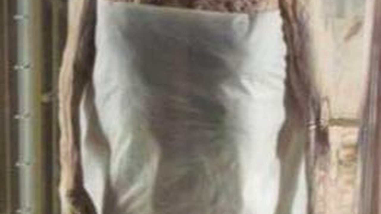 Fenomena Aneh, Masih Ada Darah pada Pembuluh Mumi Berusia 2200 Tahun Ini