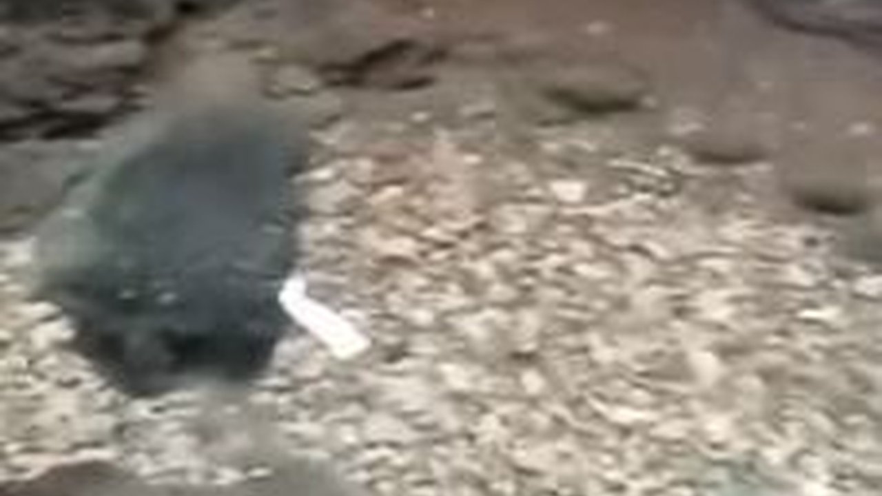 Desa di Kebumen Ini Punya Banyak Mata Air Tersembunyi, Salah Satunya Disebut Keramat