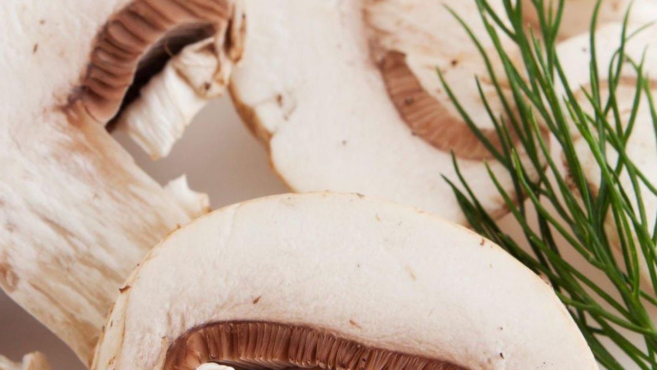 Resep Jamur Kancing yang Enak dan Lezat, Mudah Dibuat