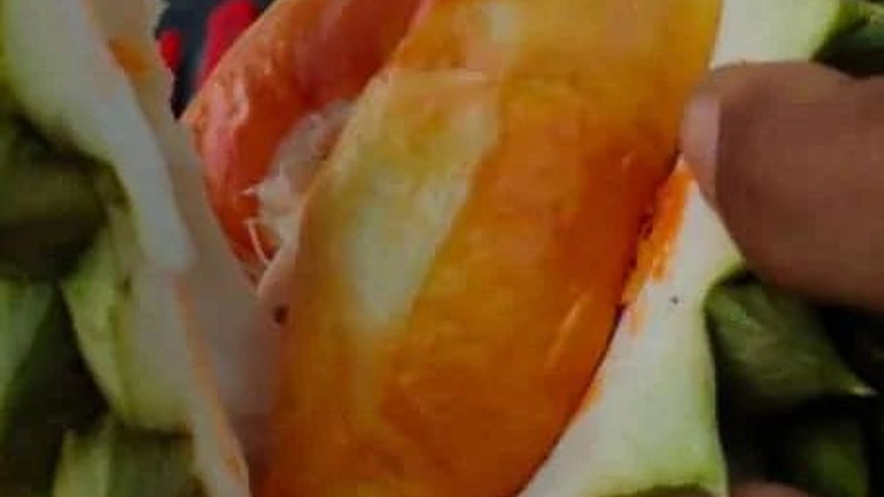 Mencicipi Durian Merah Banyuwangi, Cita Rasanya Unik Bikin Ketagihan