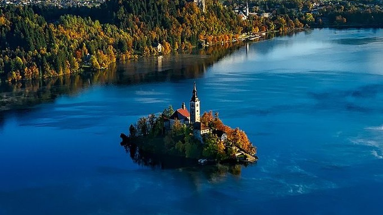 Wacana Konsep Eco City, Intip 5 Fakta Pulau Rempang di Kepulauan Riau