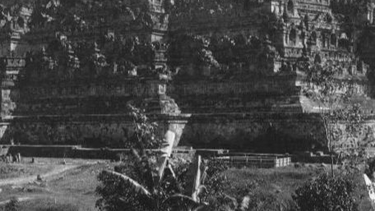 Potret Lawas Candi Borobudur Tahun 1912, Menjulang di Pinggir Sawah & Penuh Ilalang