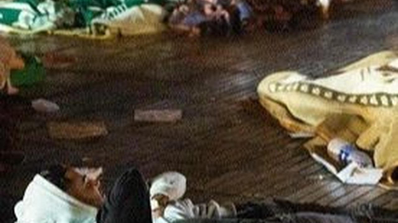 Korban Gempa Bisa Bertahan Hidup di Bawah Reruntuhan Sampai Tujuh Hari, Begini Penjelasan Ahli