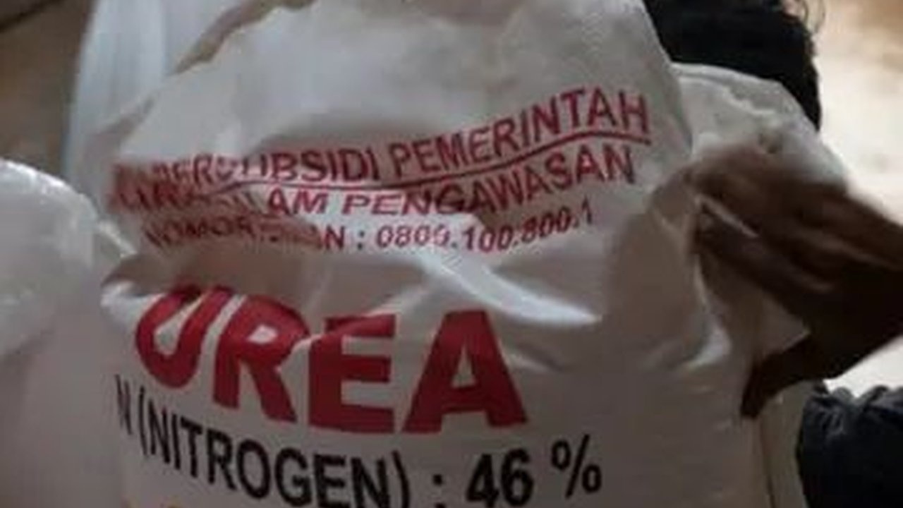 Dirut Pupuk Kaltim Buka-bukaan soal Strategi Perusahaan Jadi Industri Kelas Dunia