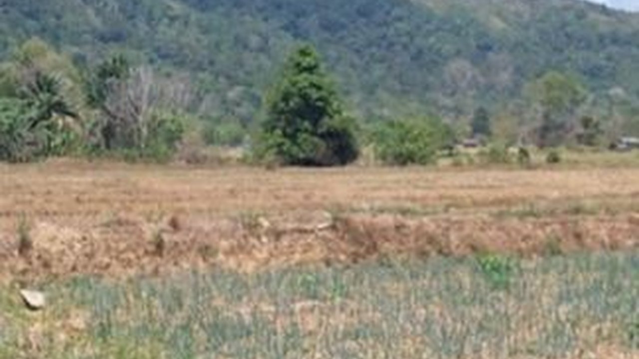 Irigasi Sumur Tanah Dalam  di Tanah Laut Dukung Gernas Penanganan Dampak El Nino Seluas 5732 ha