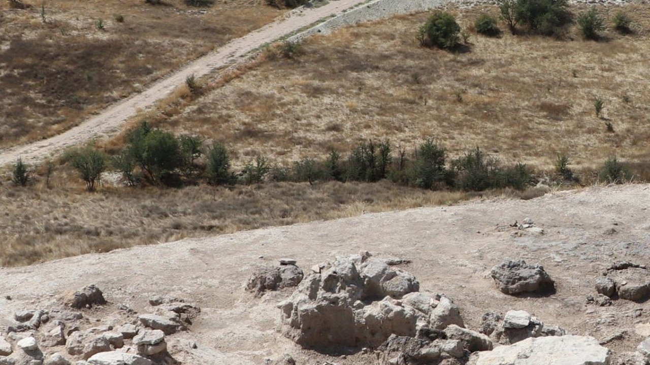 Arkeolog Temukan Biji Anggur Berusia 3.500 Tahun, Begini Bentuknya